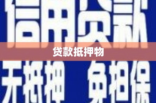 和林格尔贷款抵押物