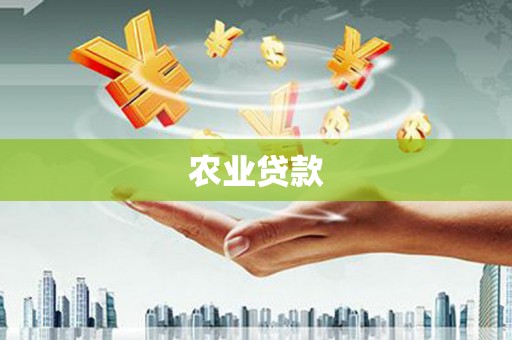和林格尔农业贷款