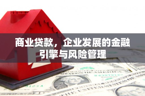 和林格尔商业贷款，企业发展的金融引擎与风险管理