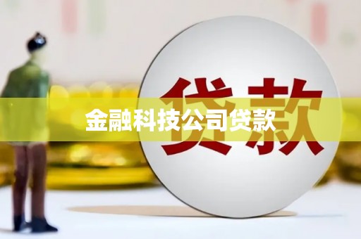 和林格尔金融科技公司贷款