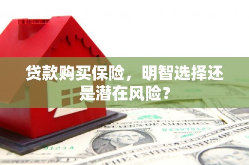和林格尔贷款购买保险，明智选择还是潜在风险？
