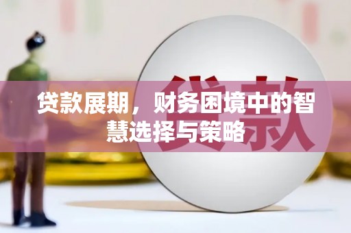 和林格尔贷款展期，财务困境中的智慧选择与策略
