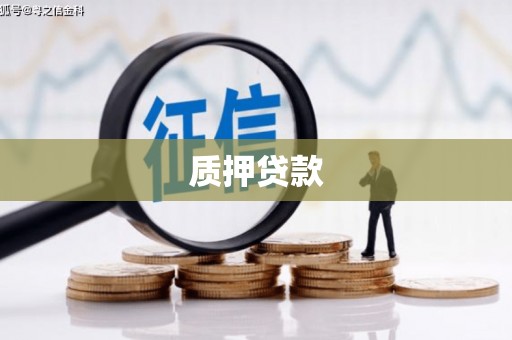 和林格尔质押贷款
