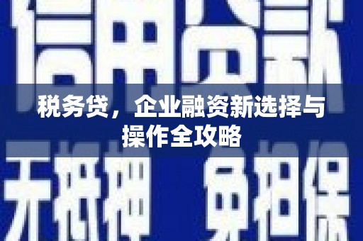 和林格尔税务贷，企业融资新选择与操作全攻略