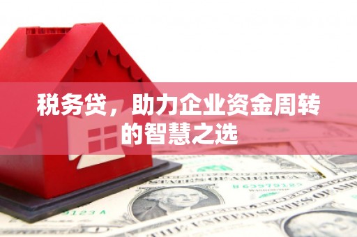 和林格尔税务贷，助力企业资金周转的智慧之选