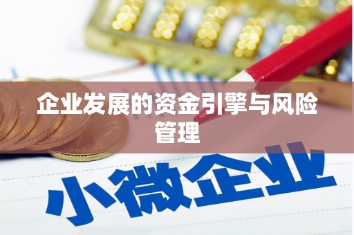 和林格尔企业发展的资金引擎与风险管理