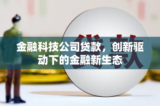 和林格尔金融科技公司贷款，创新驱动下的金融新生态