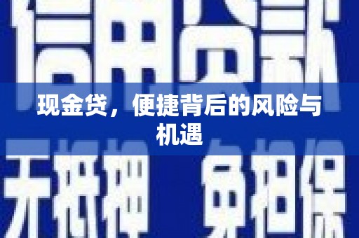 和林格尔现金贷，便捷背后的风险与机遇