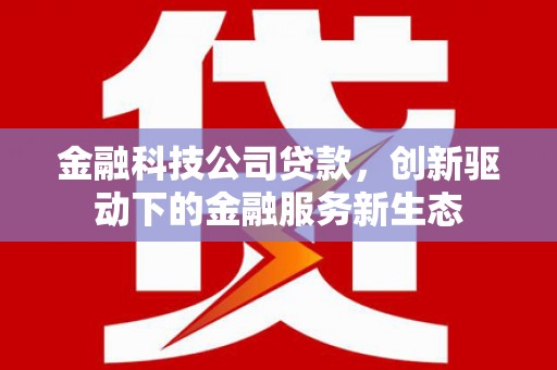 和林格尔金融科技公司贷款，创新驱动下的金融服务新生态
