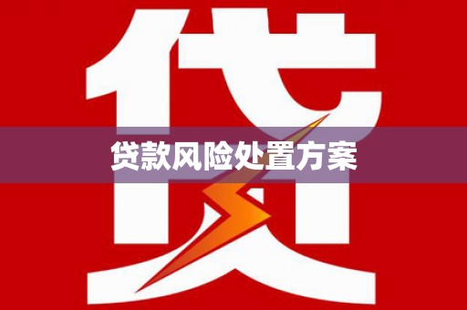 和林格尔贷款风险处置方案