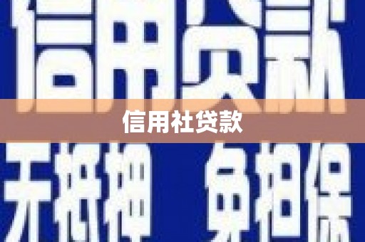 和林格尔信用社贷款