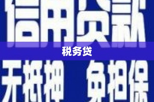 和林格尔税务贷