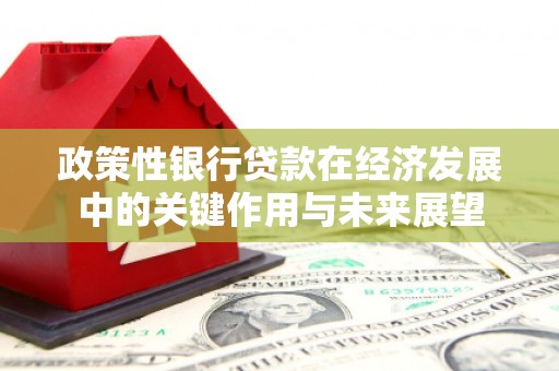 和林格尔政策性银行贷款在经济发展中的关键作用与未来展望