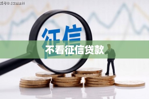 和林格尔不看征信贷款