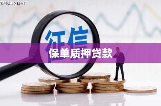 和林格尔保单质押贷款