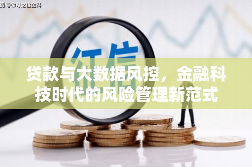 和林格尔贷款与大数据风控，金融科技时代的风险管理新范式