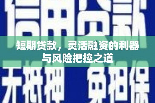 和林格尔短期贷款，灵活融资的利器与风险把控之道