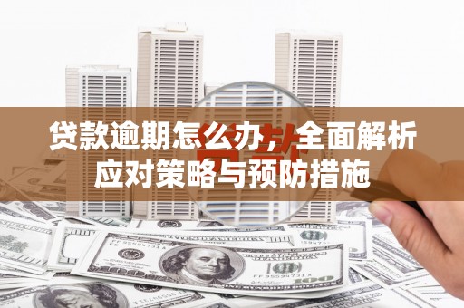 和林格尔贷款逾期怎么办，全面解析应对策略与预防措施