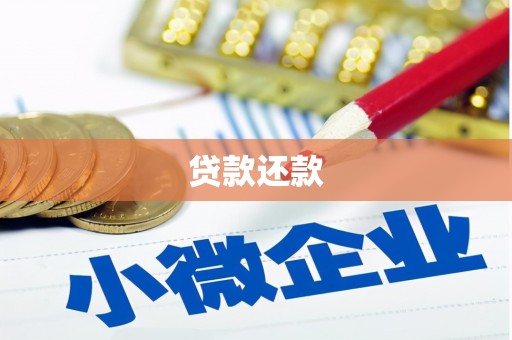 和林格尔贷款还款