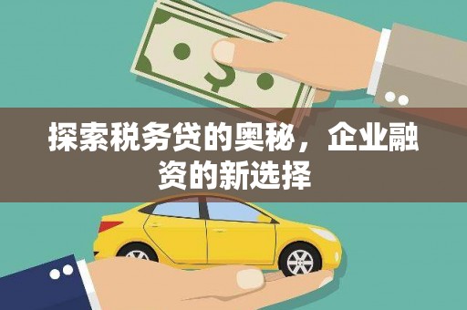 和林格尔探索税务贷的奥秘，企业融资的新选择