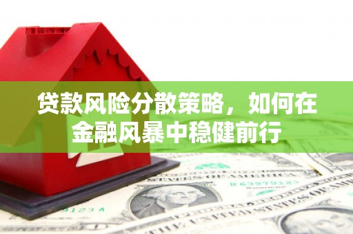 和林格尔贷款风险分散策略，如何在金融风暴中稳健前行