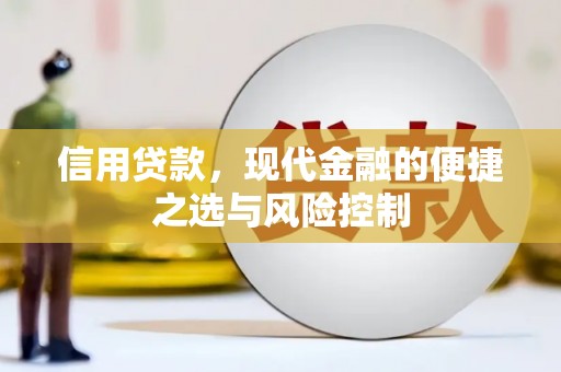 和林格尔信用贷款，现代金融的便捷之选与风险控制