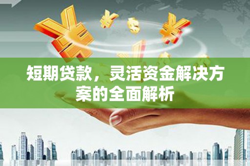 和林格尔短期贷款，灵活资金解决方案的全面解析