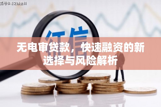 和林格尔无电审贷款，快速融资的新选择与风险解析