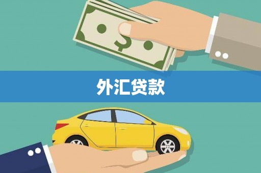 和林格尔外汇贷款