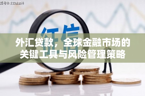 和林格尔外汇贷款，全球金融市场的关键工具与风险管理策略