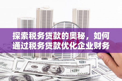 和林格尔探索税务贷款的奥秘，如何通过税务贷款优化企业财务