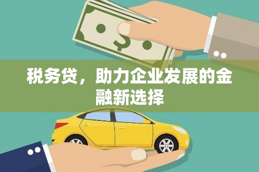 和林格尔税务贷，助力企业发展的金融新选择