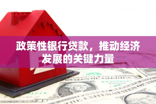 和林格尔政策性银行贷款，推动经济发展的关键力量