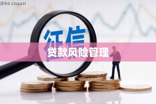 和林格尔贷款风险管理