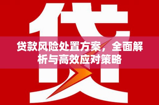 和林格尔贷款风险处置方案，全面解析与高效应对策略