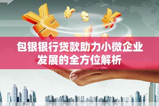 和林格尔包银银行贷款助力小微企业发展的全方位解析