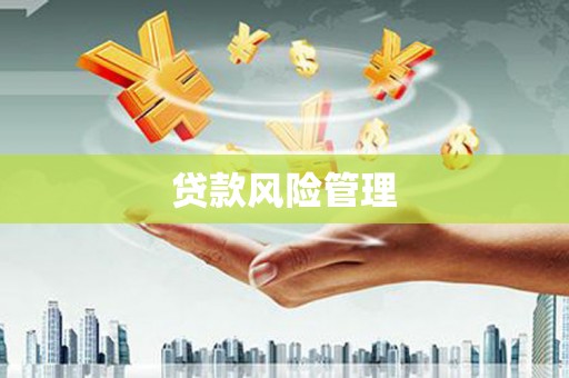 和林格尔贷款风险管理