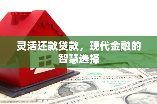 和林格尔灵活还款贷款，现代金融的智慧选择