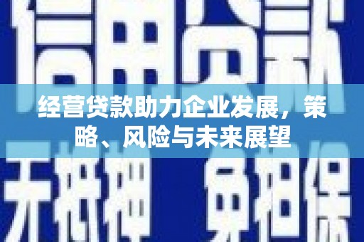 和林格尔经营贷款助力企业发展，策略、风险与未来展望