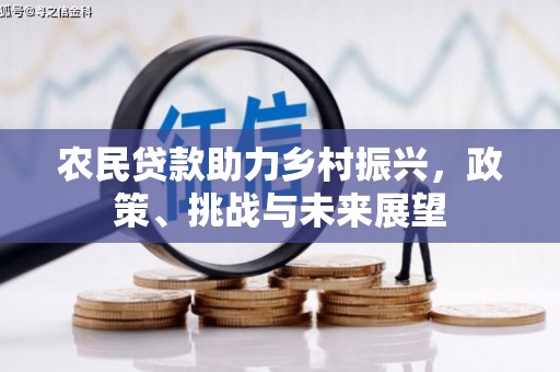 和林格尔农民贷款助力乡村振兴，政策、挑战与未来展望