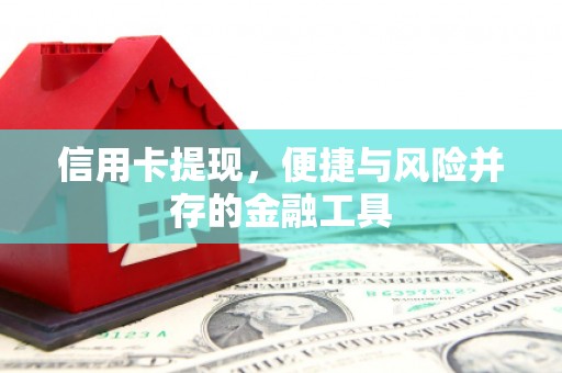 和林格尔信用卡提现，便捷与风险并存的金融工具
