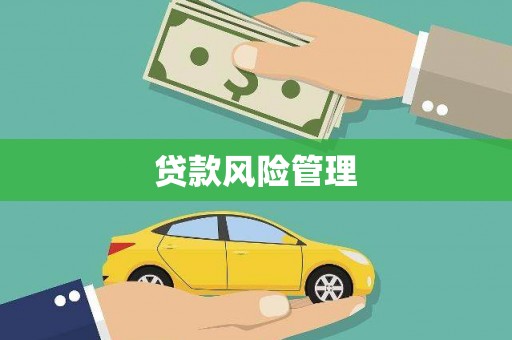 和林格尔贷款风险管理