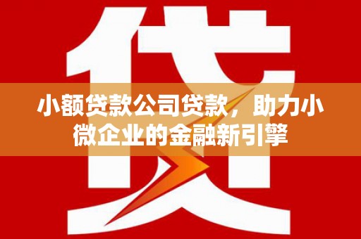 和林格尔小额贷款公司贷款，助力小微企业的金融新引擎