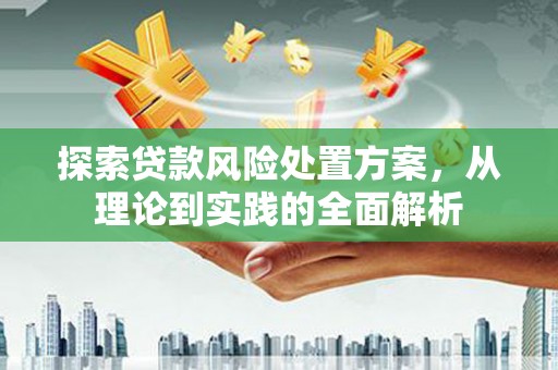 和林格尔探索贷款风险处置方案，从理论到实践的全面解析