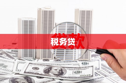 和林格尔税务贷