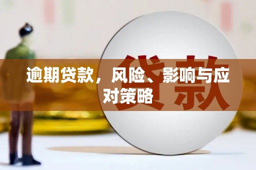 和林格尔逾期贷款，风险、影响与应对策略