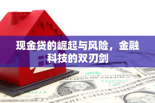 和林格尔现金贷的崛起与风险，金融科技的双刃剑
