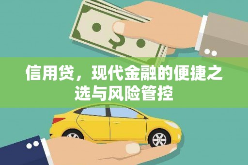 和林格尔信用贷，现代金融的便捷之选与风险管控