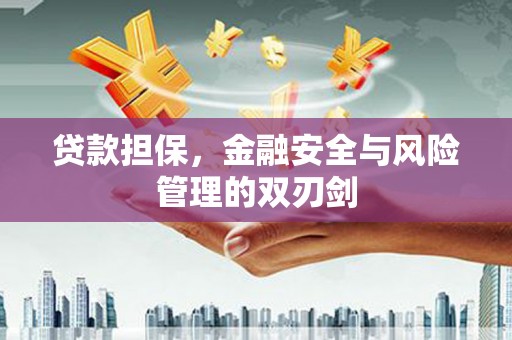 和林格尔贷款担保，金融安全与风险管理的双刃剑