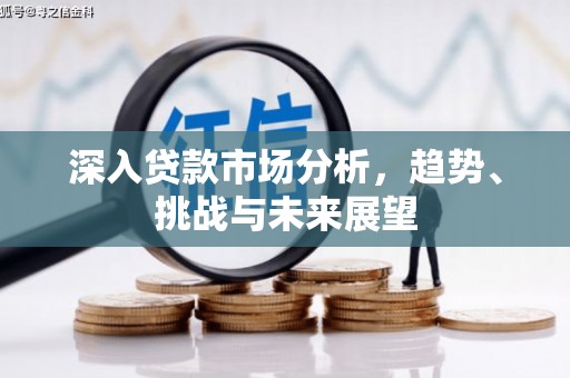 和林格尔深入贷款市场分析，趋势、挑战与未来展望